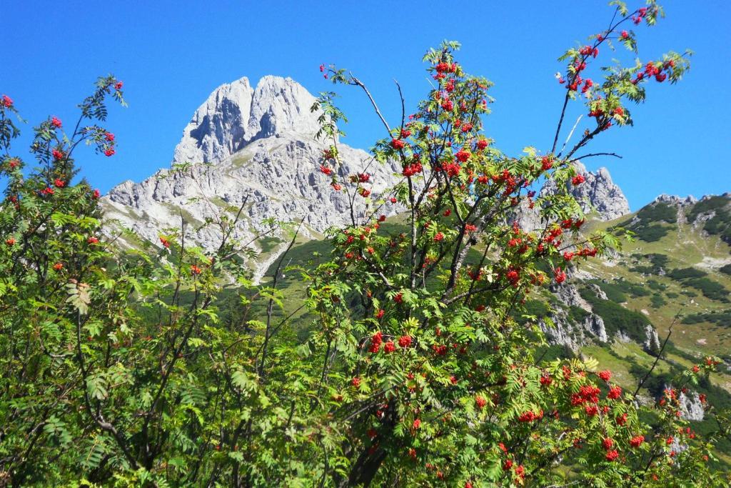 Ferienhaus Abendstille Ramsau am Dachstein Pokój zdjęcie