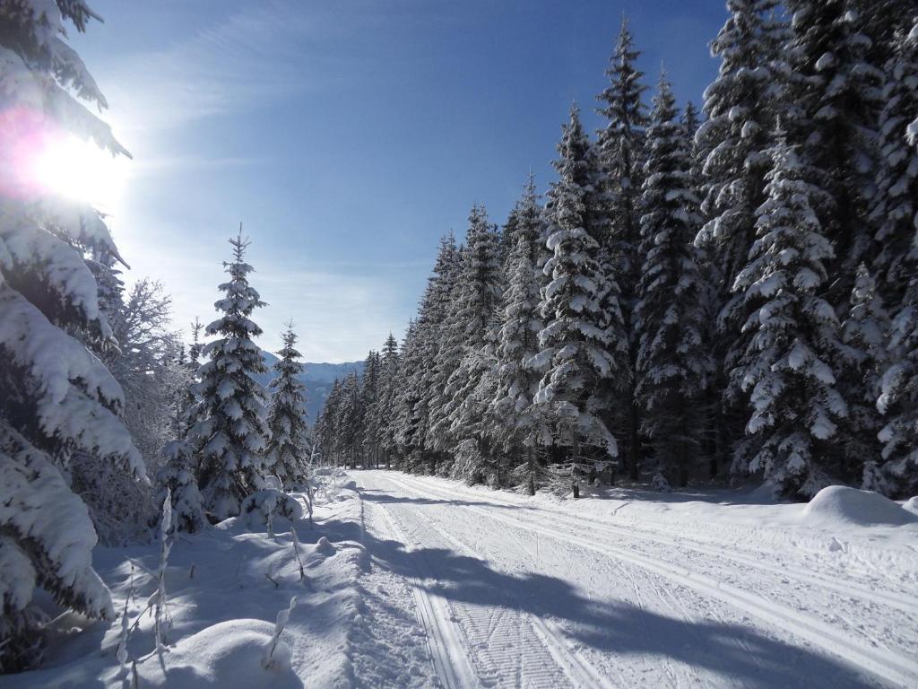 Ferienhaus Abendstille Ramsau am Dachstein Zewnętrze zdjęcie
